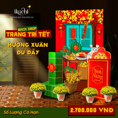 COMBO TRANG TRÍ TẾT XANH | Hương xuân đủ đầy
