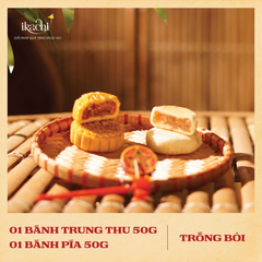 COMBO HỘP QUÀ TRUNG THU XANH | Truyền Hình Tí Hon - Rước Đèn