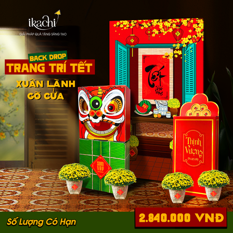 COMBO TRANG TRÍ TẾT XANH | Xuân lành gõ cửa