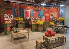 COMBO TRANG TRÍ TẾT XANH | Xuân lành gõ cửa