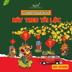 Combo Dây Treo Tài Lộc