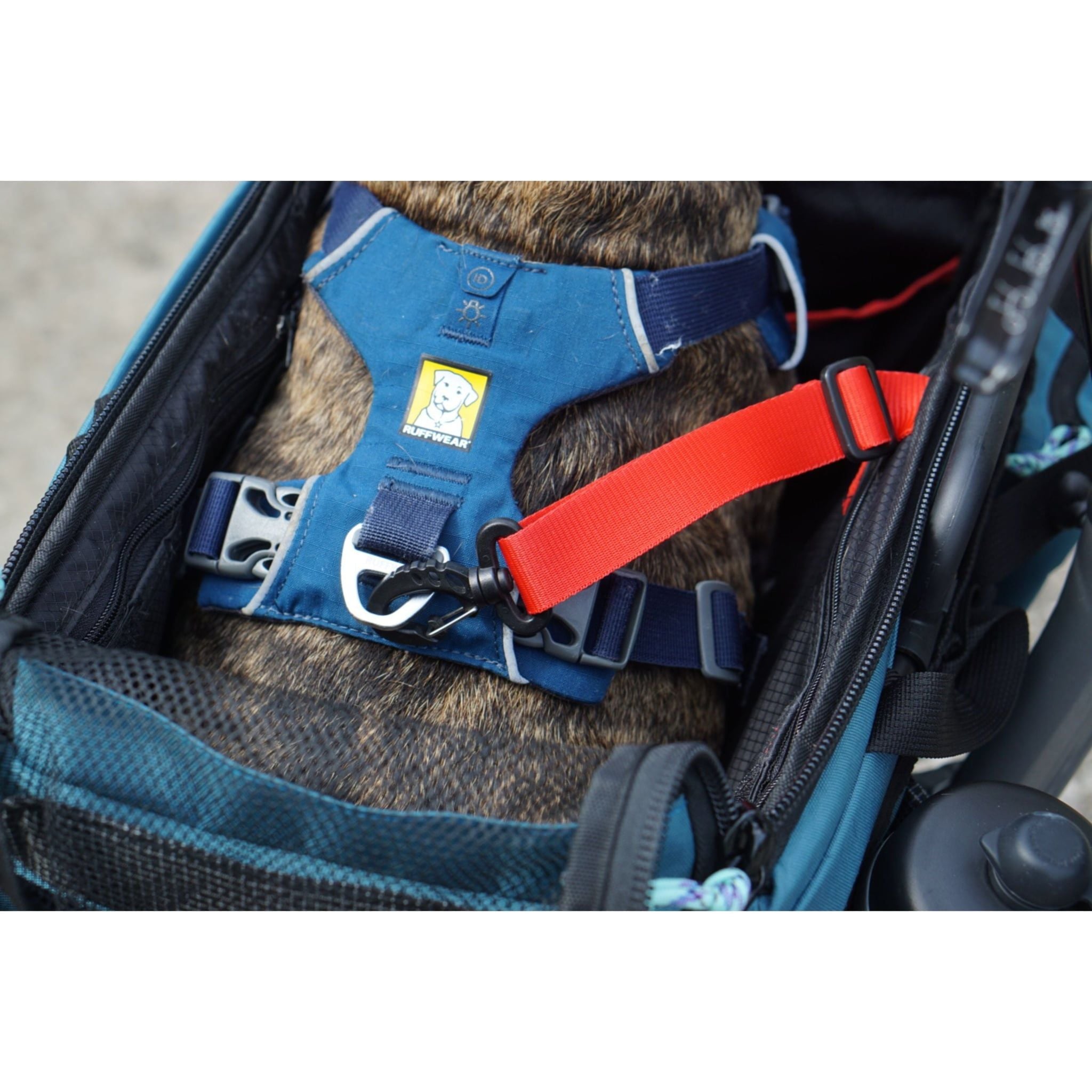  Caddy Pet Basket 