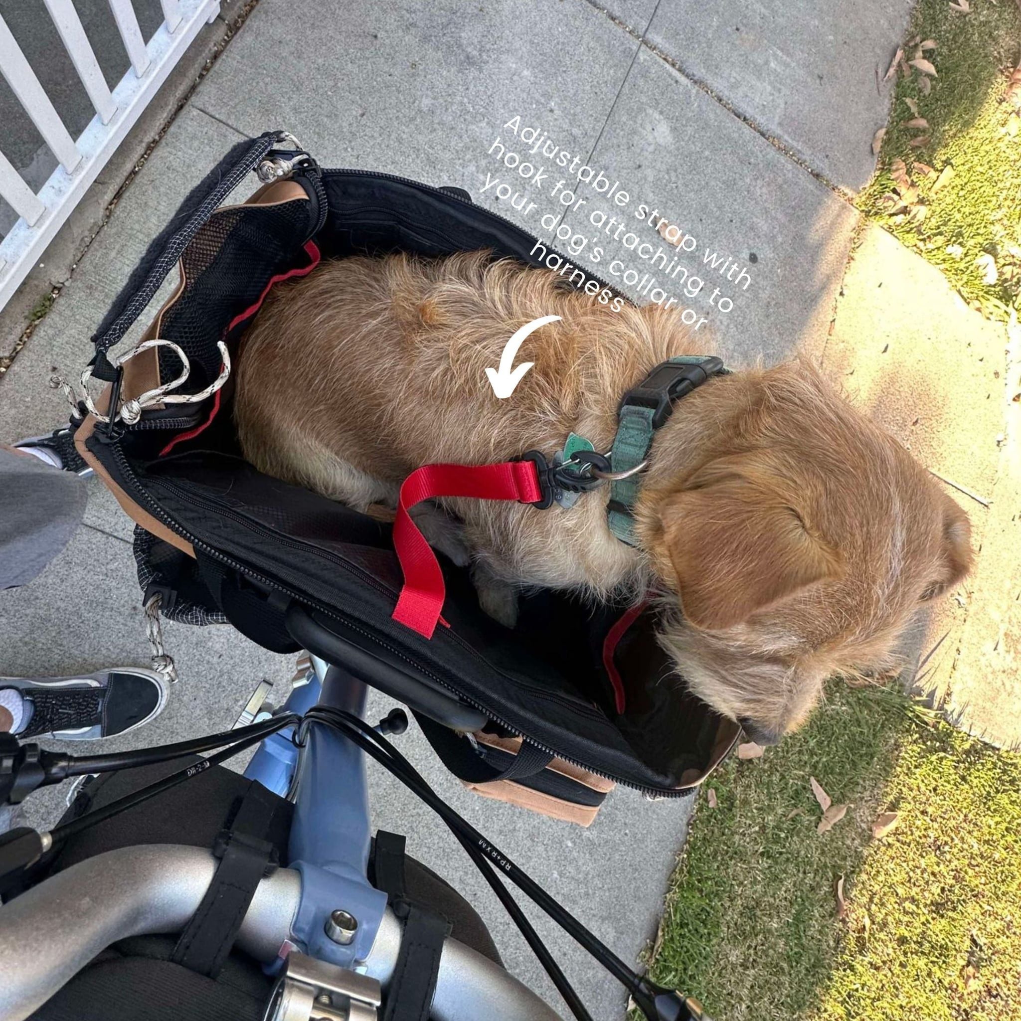  Caddy Pet Basket 
