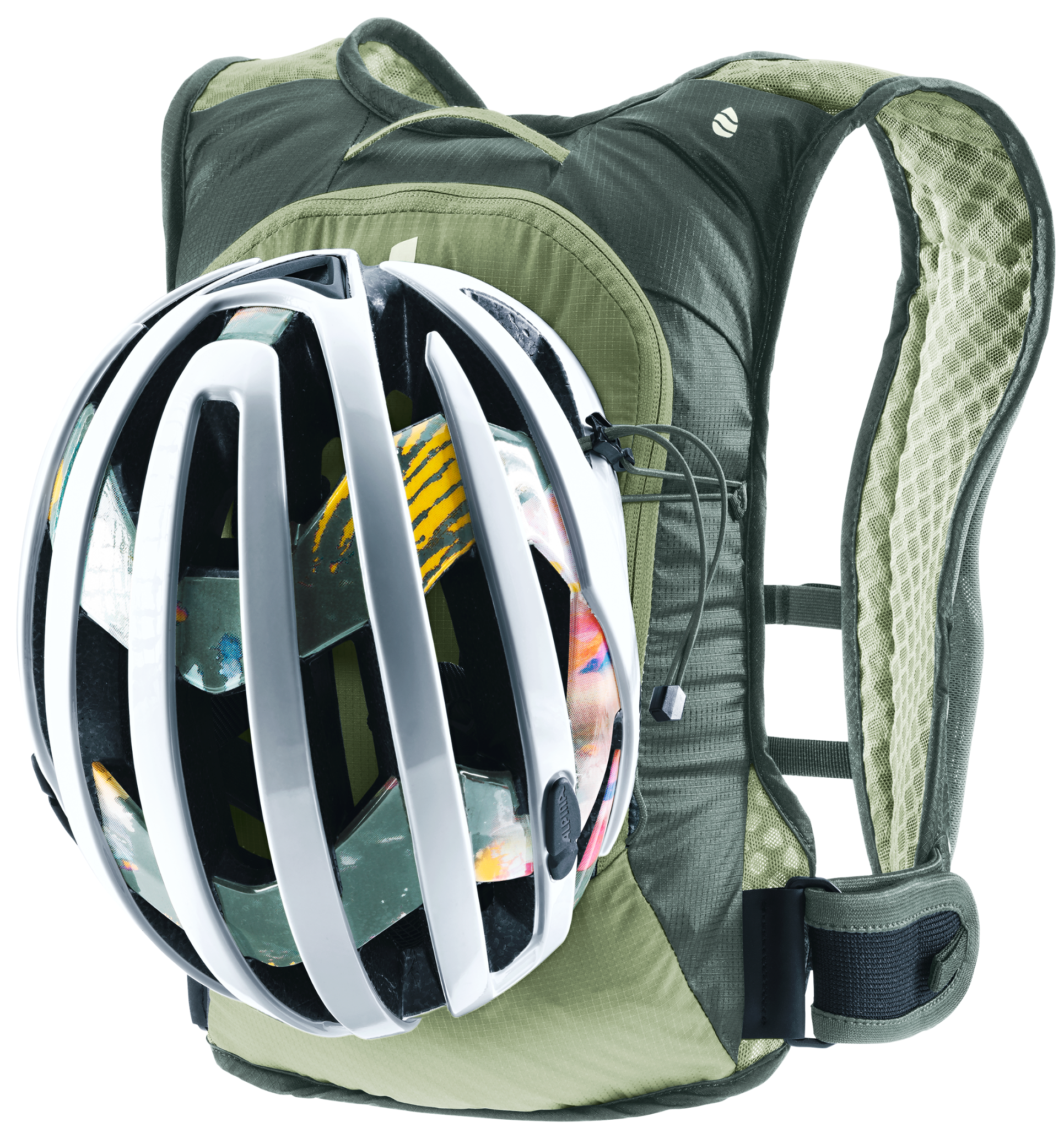  Rogla 5 