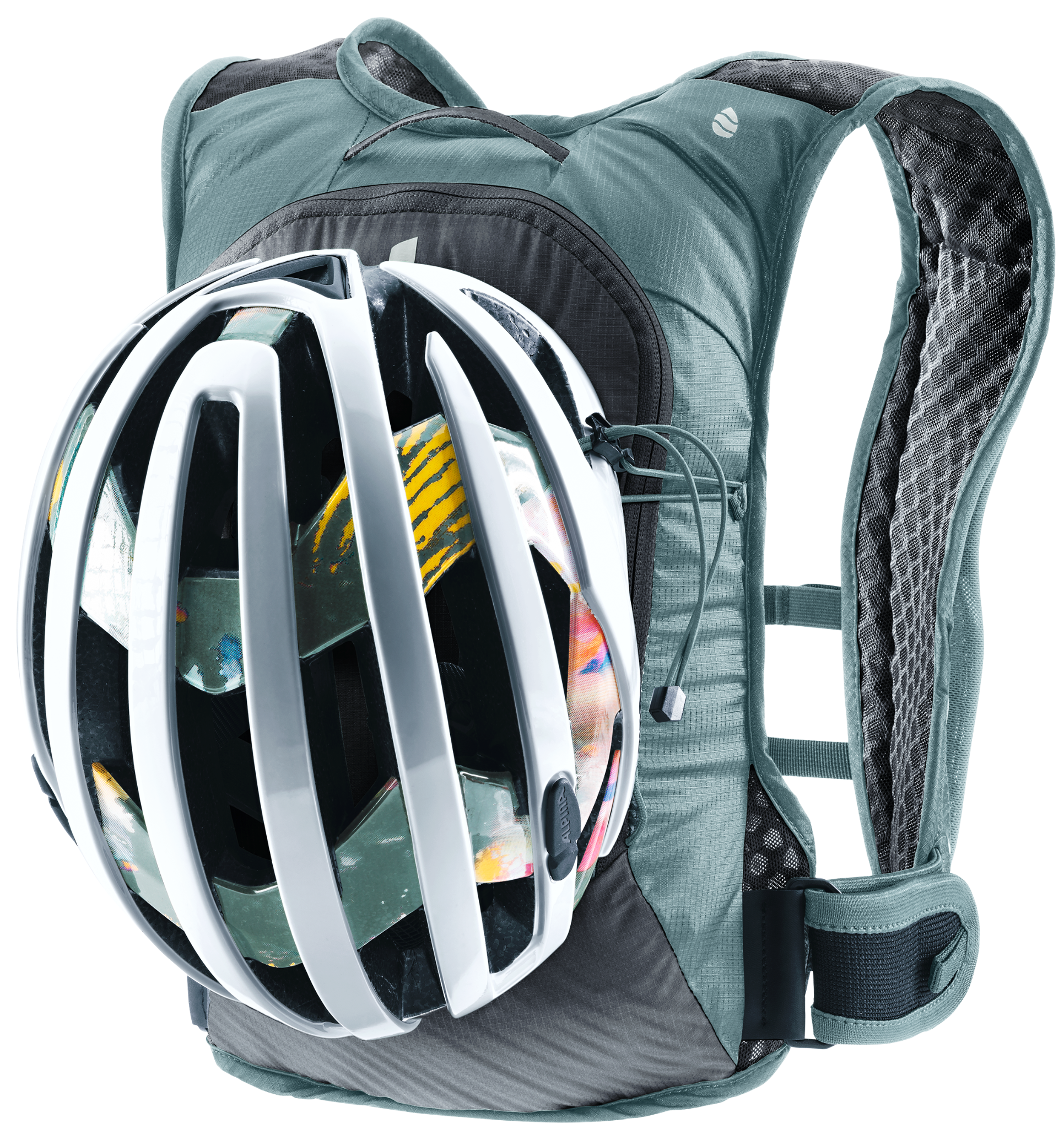  Rogla 5 