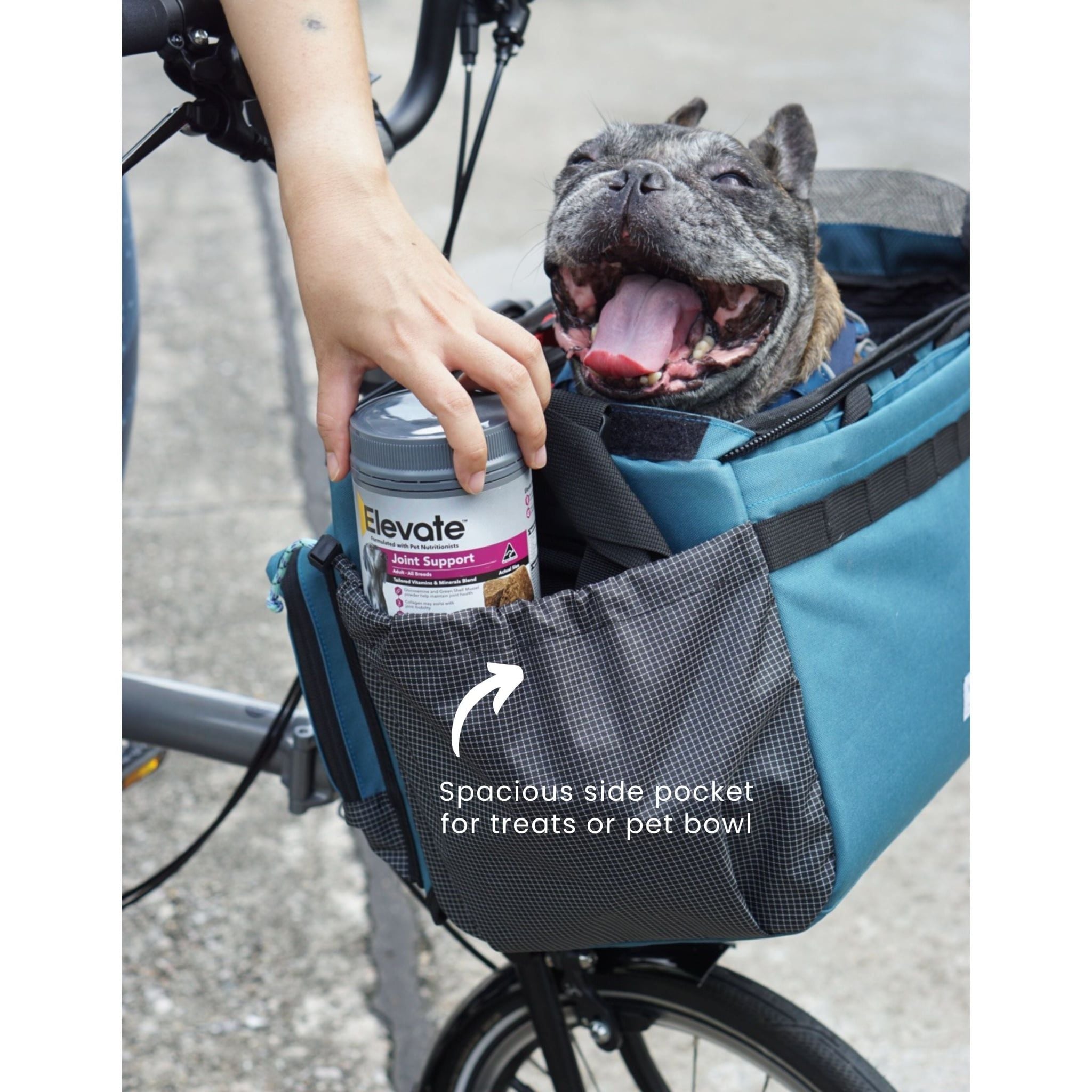  Caddy Pet Basket 