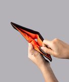  ALPAKA ARK Classic Wallet 