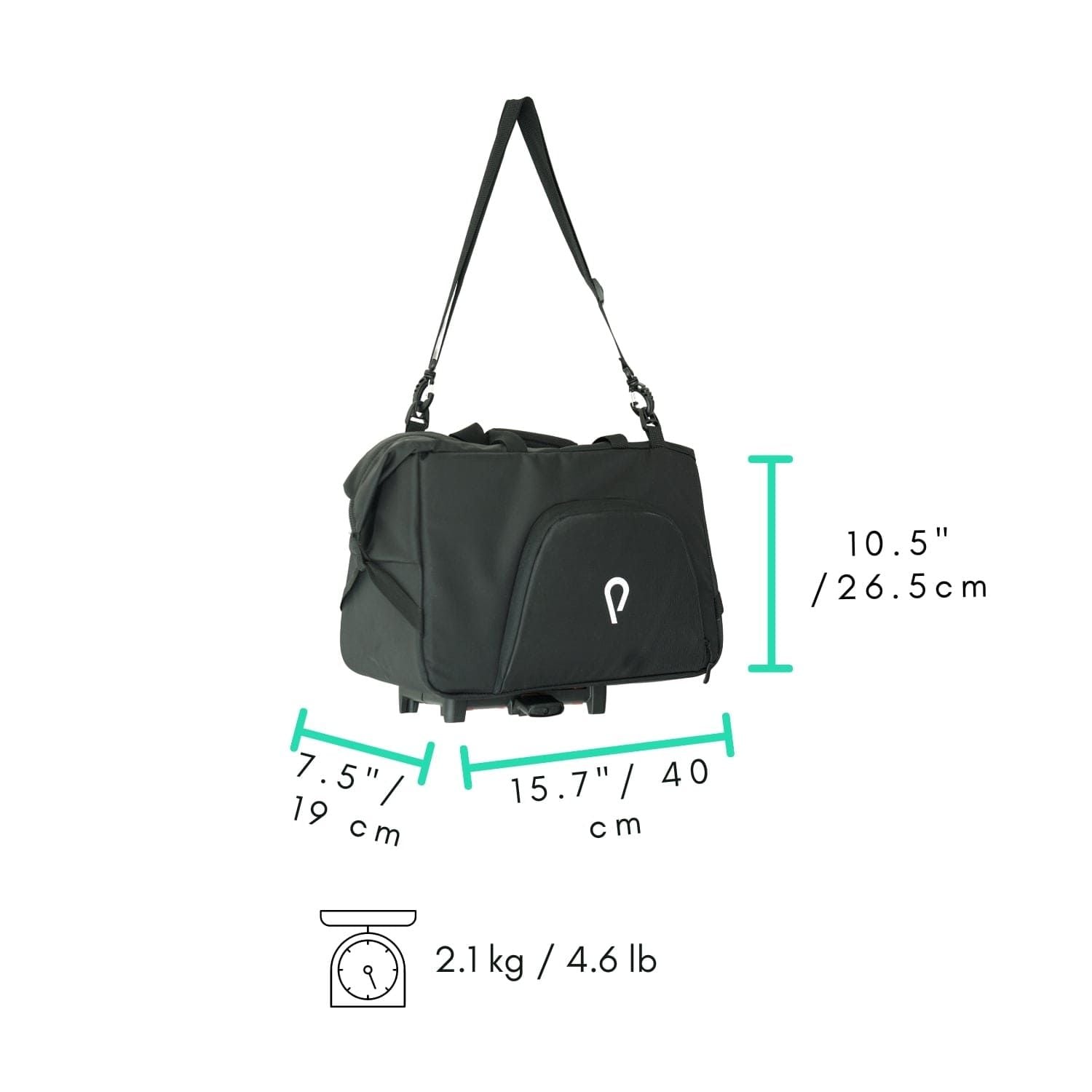  Big Nash Rack Bag 