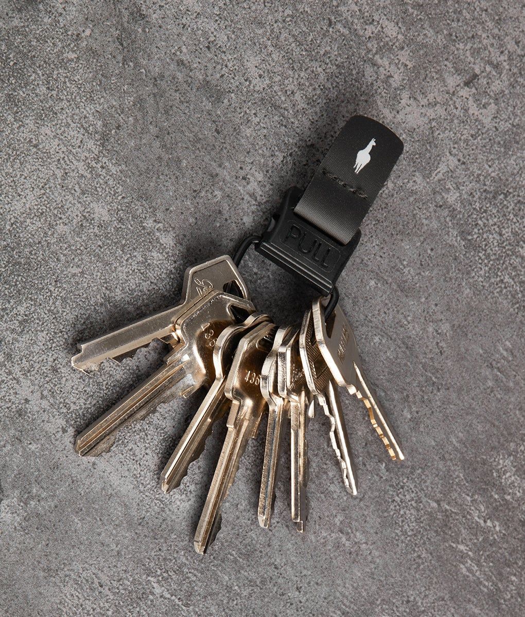  ALPAKA HUB Keychain 