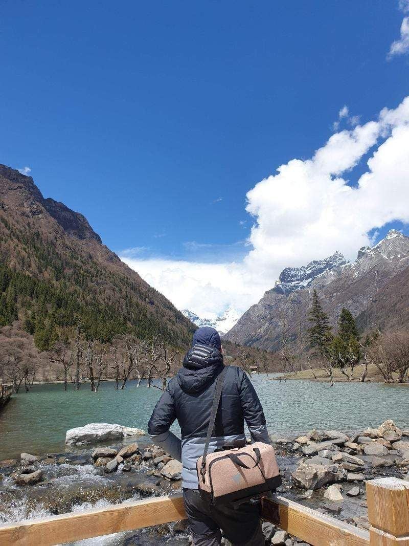 Nash Rack Bag 