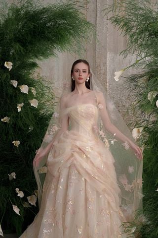 TLSS17
