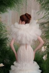 TLSS06