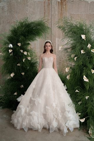 TLSS19