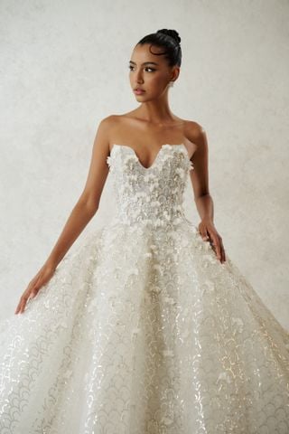 HC0568