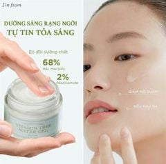 Kem Dưỡng I'm From Vitamin Tree Water Gel Advance 75g