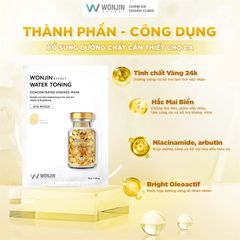 Mặt Nạ Wonjin Effect Concentrated Essence Mask 30g