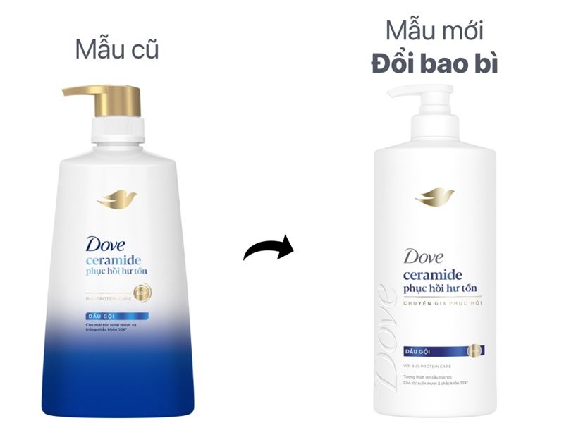 Bộ Gội Xả Dove Ceramide Phục Hồi Hư Tổn (Dầu Gội 640g + Kem Xả 610g)