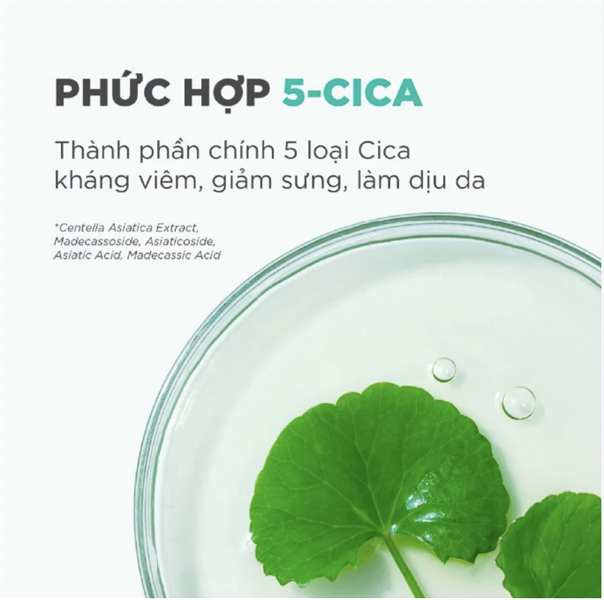 Kem Dưỡng Ẩm Phục Hồi Da Candid B5 CICA Repair & Soothing Cream