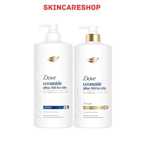 Bộ Gội Xả Dove Ceramide Phục Hồi Hư Tổn (Dầu Gội 640g + Kem Xả 610g)