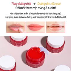 Mặt Nạ Ngủ Cho Môi CARE:NEL Lip Night Mask 5g