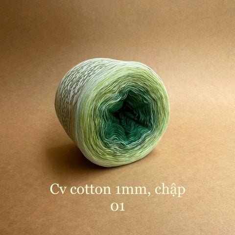 Cầu vồng cotton 1mm, tone màu loang Ombre, sợi chập đan móc áo, váy, khăn