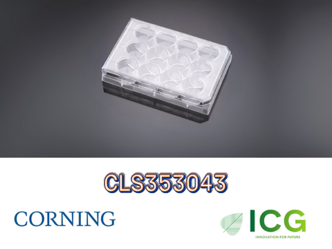  Corning® Falcon® Cell Culture Plate – Đĩa nuôi cấy tế bào tiệt trùng Polystyrene | ICGSCITECH 