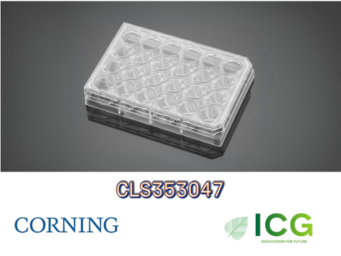  Corning® Falcon® Cell Culture Plate – Đĩa nuôi cấy tế bào tiệt trùng Polystyrene | ICGSCITECH 