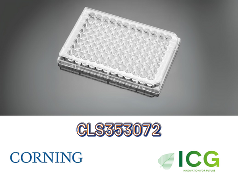  Corning® Falcon® Cell Culture Plate – Đĩa nuôi cấy tế bào tiệt trùng Polystyrene | ICGSCITECH 