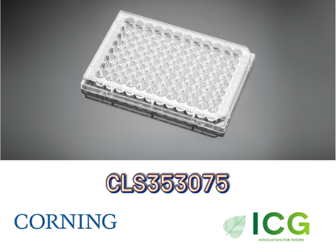  Corning® Falcon® Cell Culture Plate – Đĩa nuôi cấy tế bào tiệt trùng Polystyrene | ICGSCITECH 