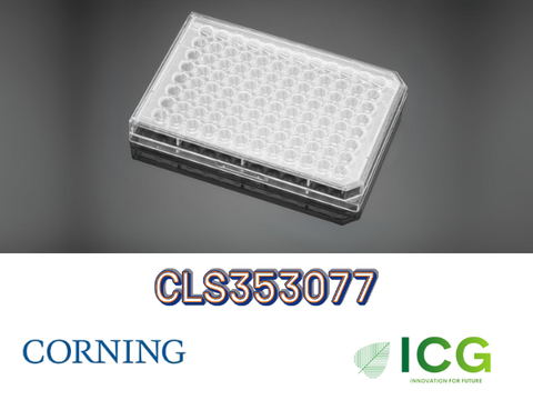  Corning® Falcon® Cell Culture Plate – Đĩa nuôi cấy tế bào tiệt trùng Polystyrene | ICGSCITECH 