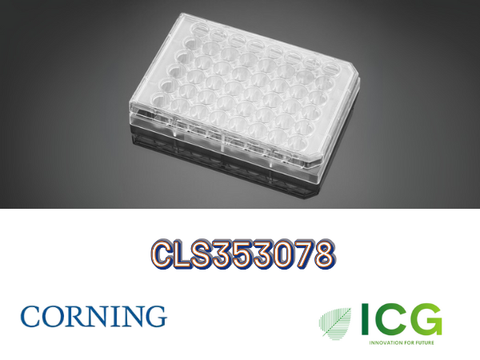  Corning® Falcon® Cell Culture Plate – Đĩa nuôi cấy tế bào tiệt trùng Polystyrene | ICGSCITECH 