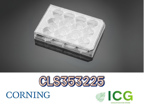  Corning® Falcon® Cell Culture Plate – Đĩa nuôi cấy tế bào tiệt trùng Polystyrene | ICGSCITECH 