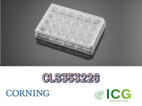  Corning® Falcon® Cell Culture Plate – Đĩa nuôi cấy tế bào tiệt trùng Polystyrene | ICGSCITECH 
