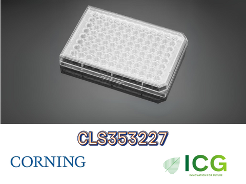  Corning® Falcon® Cell Culture Plate – Đĩa nuôi cấy tế bào tiệt trùng Polystyrene | ICGSCITECH 