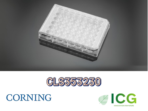  Corning® Falcon® Cell Culture Plate – Đĩa nuôi cấy tế bào tiệt trùng Polystyrene | ICGSCITECH 