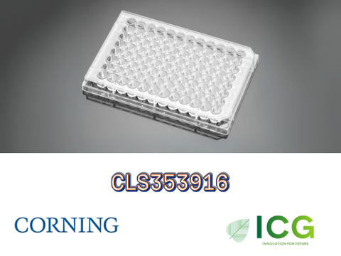  Corning® Falcon® Cell Culture Plate – Đĩa nuôi cấy tế bào tiệt trùng Polystyrene | ICGSCITECH 