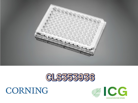  Corning® Falcon® Cell Culture Plate – Đĩa nuôi cấy tế bào tiệt trùng Polystyrene | ICGSCITECH 