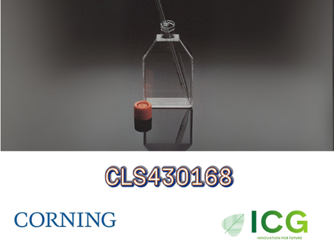  Corning® Cell Culture Flasks – Bình nuôi cấy tế bào chính hãng từ Corning 