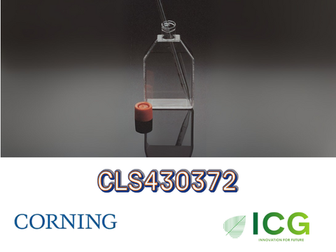  Corning® Cell Culture Flasks – Bình nuôi cấy tế bào chính hãng từ Corning 