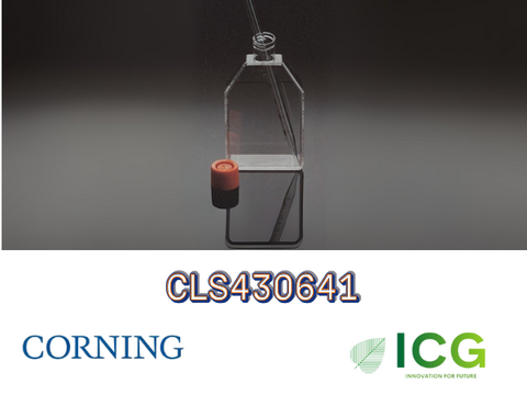  Corning® Cell Culture Flasks – Bình nuôi cấy tế bào chính hãng từ Corning 