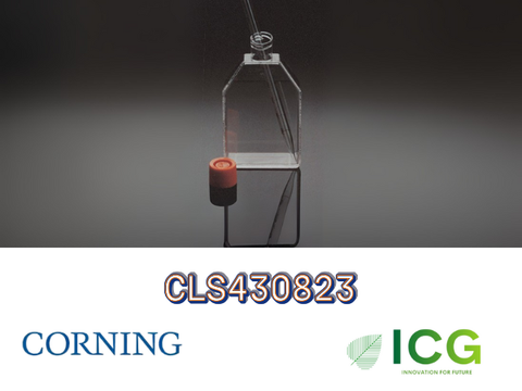  Corning® Cell Culture Flasks – Bình nuôi cấy tế bào chính hãng từ Corning 