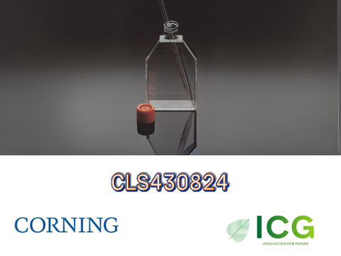  Corning® Cell Culture Flasks – Bình nuôi cấy tế bào chính hãng từ Corning 