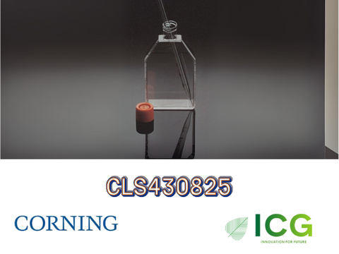  Corning® Cell Culture Flasks – Bình nuôi cấy tế bào chính hãng từ Corning 