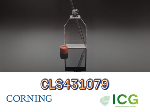  Corning® Cell Culture Flasks – Bình nuôi cấy tế bào chính hãng từ Corning 