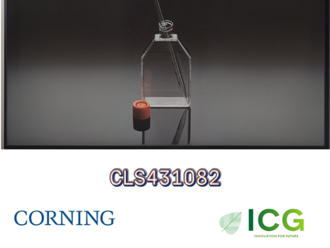 Corning® Cell Culture Flasks – Bình nuôi cấy tế bào chính hãng từ Corning 