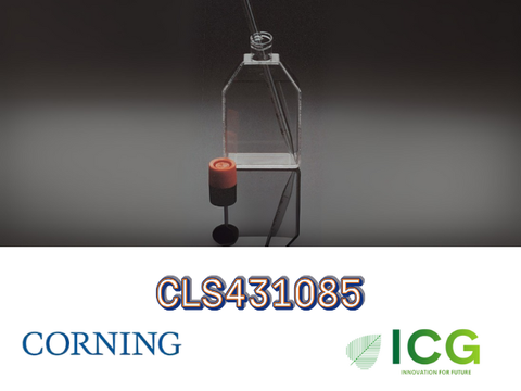 Corning® Cell Culture Flasks – Bình nuôi cấy tế bào chính hãng từ Corning 