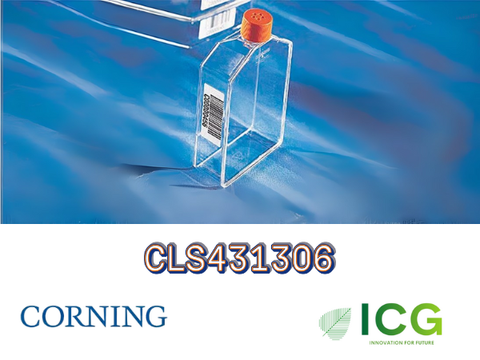 Corning® Cell Culture Flasks – Bình nuôi cấy tế bào chính hãng từ Corning 