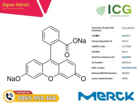  Fluorescein sodium salt Merck CAS 518-47-8 