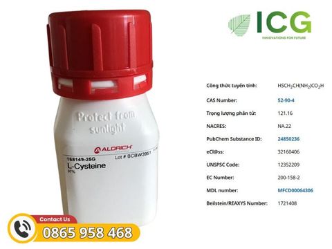 L-Cysteine 97% | Hóa chất Axit amin tổng hợp peptide Merck CAS 52-90-4 
