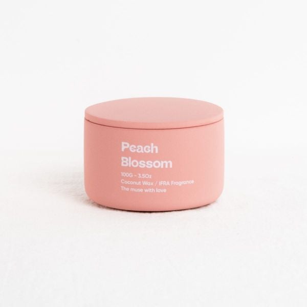 Set nến đơn 100g